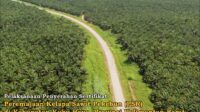 Sertifikat Peremajaan Kelapa Sawit Pekebun