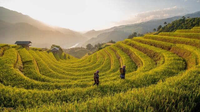 Apa Akibat Jika Lingkungan Tidak Dilestarikan