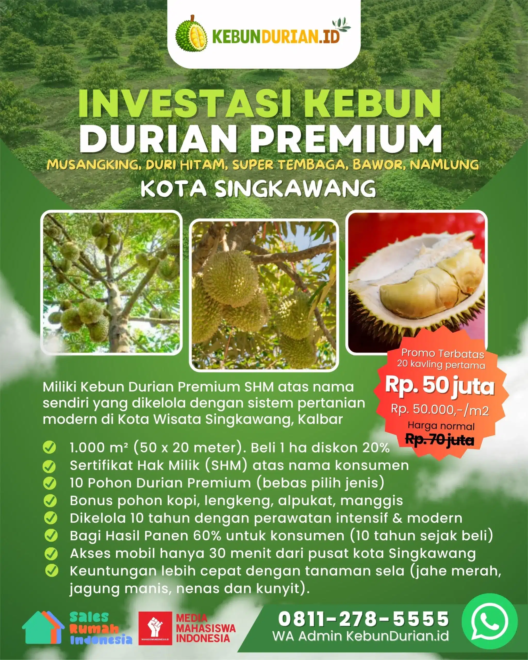 Investasi Kebun Durian Premium