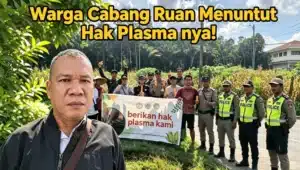 Hak Plasma Perkebunan warga Cabang Ruan masih menunggu kepastian hukum