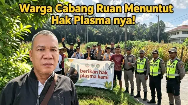 Hak Plasma Perkebunan warga Cabang Ruan masih menunggu kepastian hukum