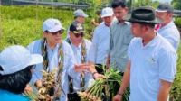 program-tjsl-pln-mempawah program-tjsl-pln-mempawah